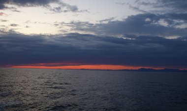 It is a long established fact that a reader will be distracted