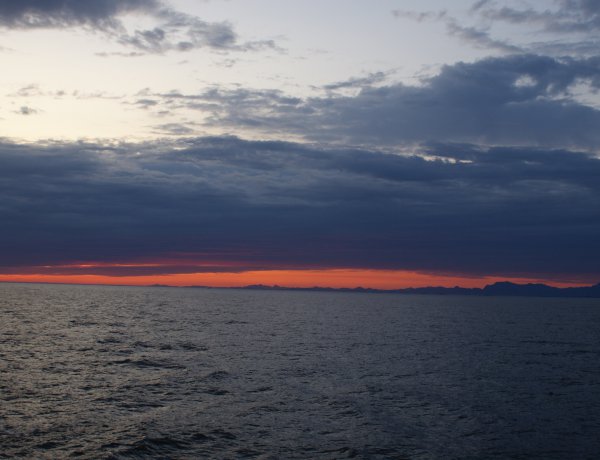 It is a long established fact that a reader will be distracted